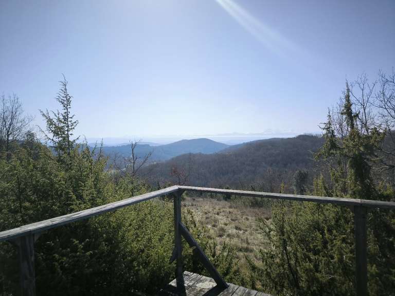 Property Mirepoix - 3 bedrooms - 160m²