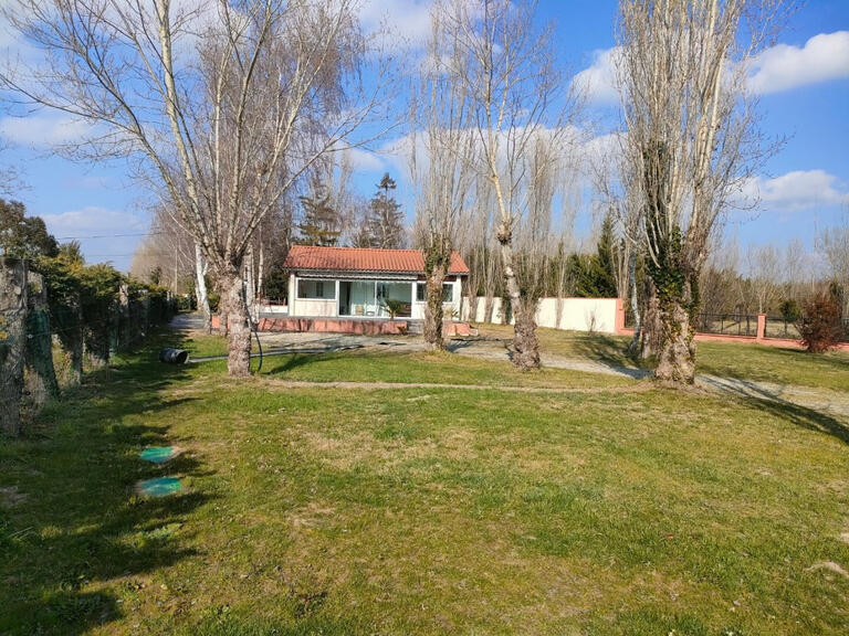 Propriété équestre Mirepoix - 7 chambres - 260m²