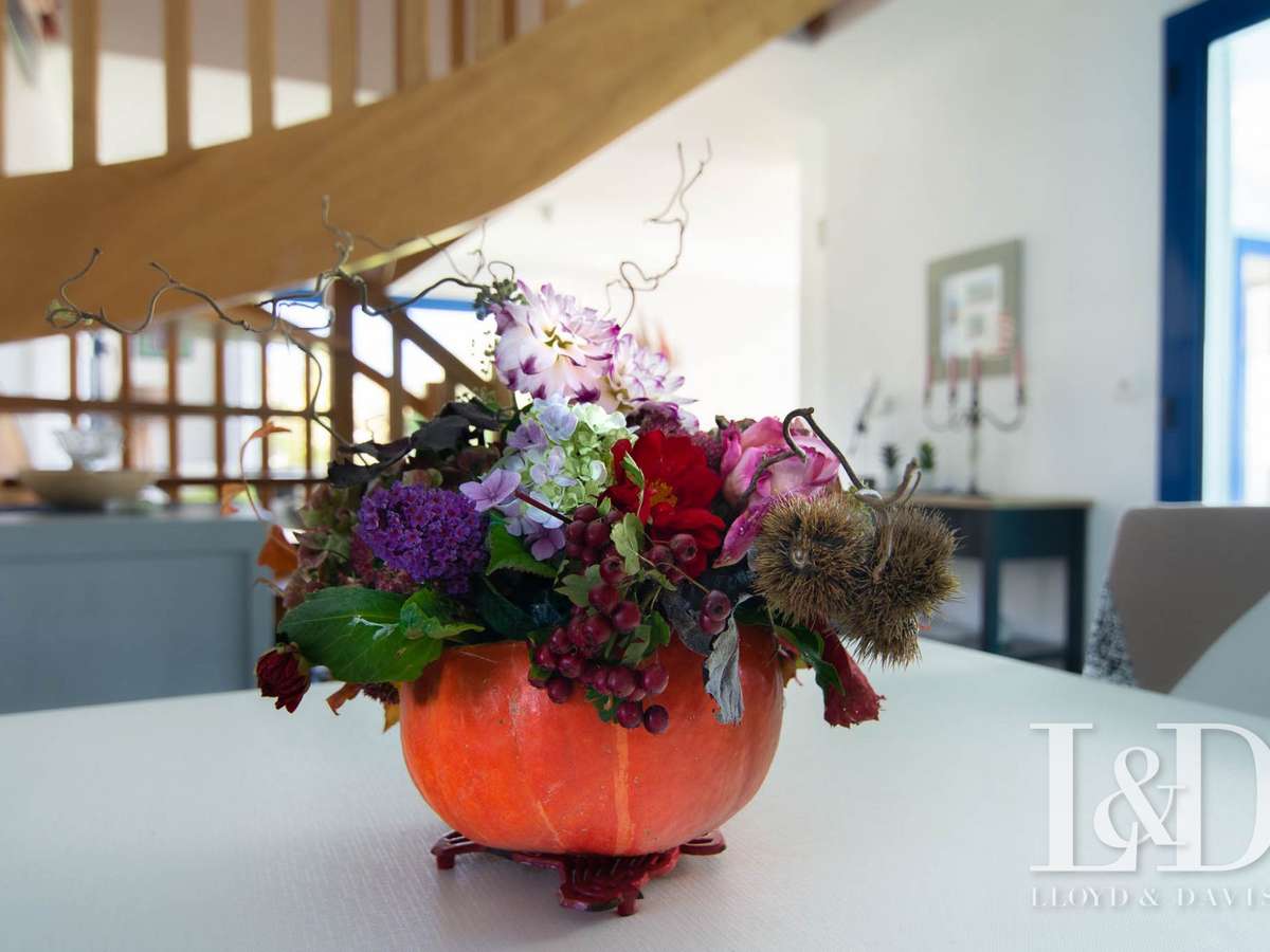 House Moëlan-sur-Mer