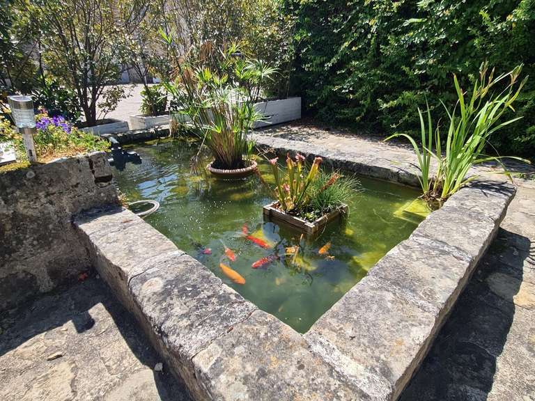 Maison Moigny-sur-École - 8 chambres - 318m²