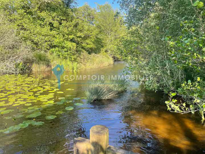 Villa Moliets-et-Maa - 4 chambres - 123m²
