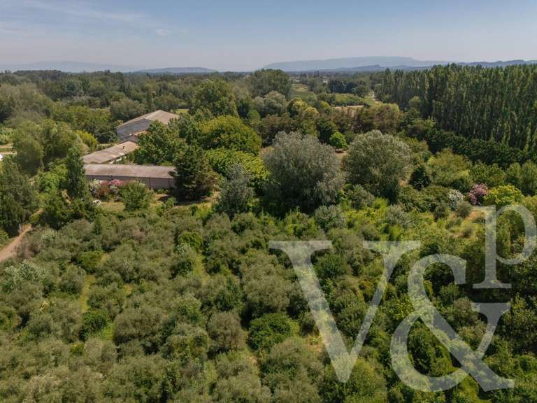 Maison Mollégès - 8 chambres - 735m²