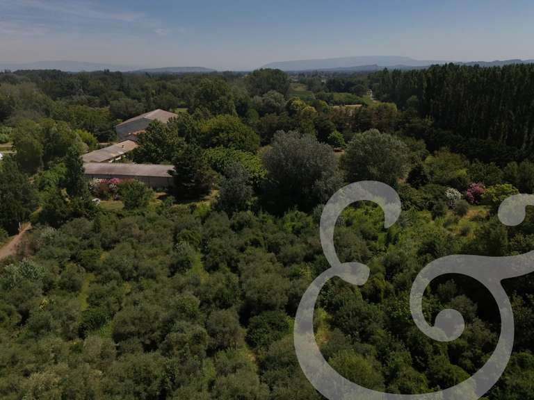 Maison Mollégès - 8 chambres - 735m²