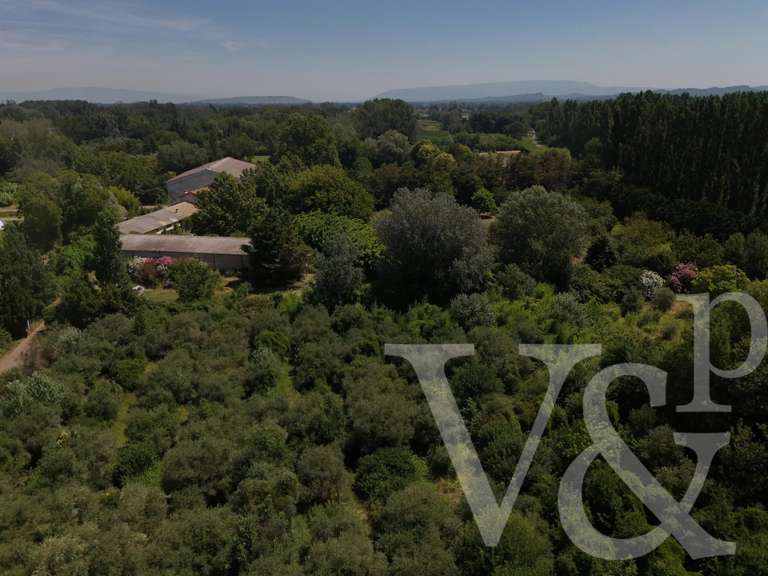 Maison Mollégès - 8 chambres - 735m²