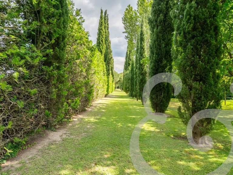 Propriété Mollégès - 4 chambres - 670m²