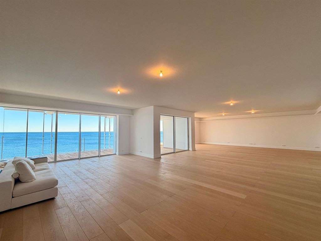 Apartment Monaco