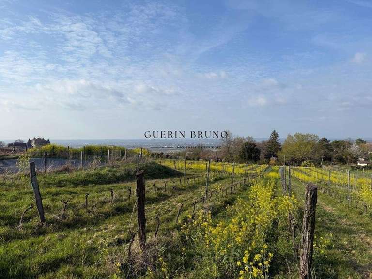 Property Monbazillac - 3 bedrooms