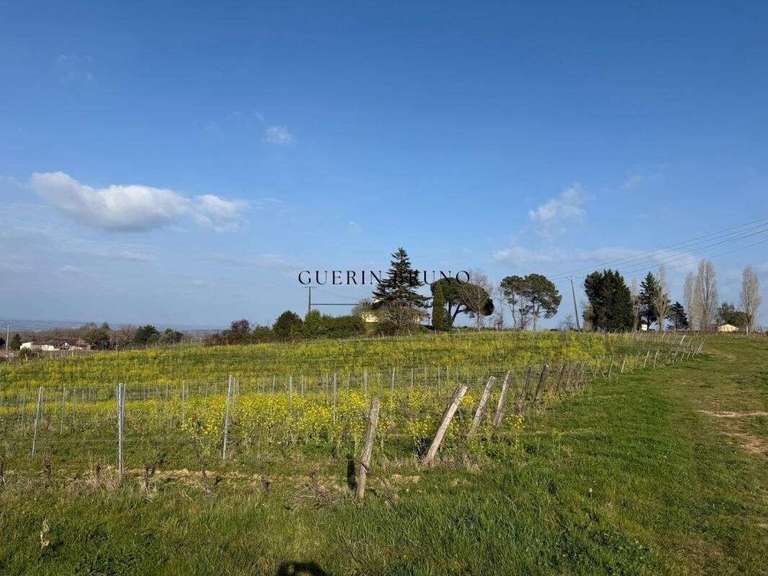 Property Monbazillac - 3 bedrooms