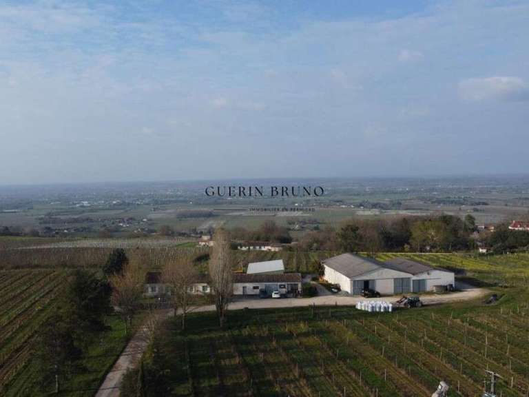 Property Monbazillac - 3 bedrooms