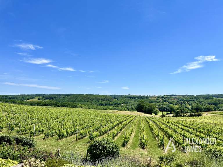 Maison Monestier - 9 chambres - 500m²