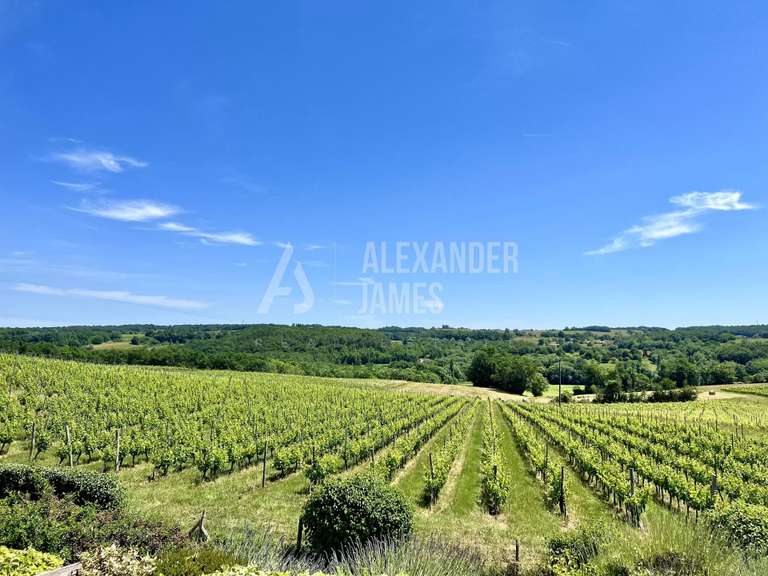 Propriété Monestier - 9 chambres - 500m²