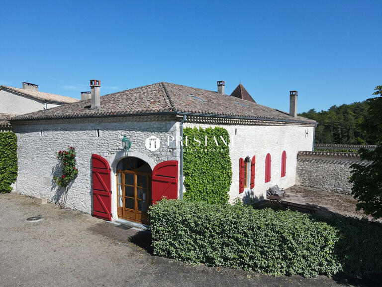 House Monflanquin - 6 bedrooms - 800m²