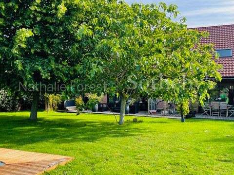 Maison Mons-en-Pévèle - 5 chambres - 206m²