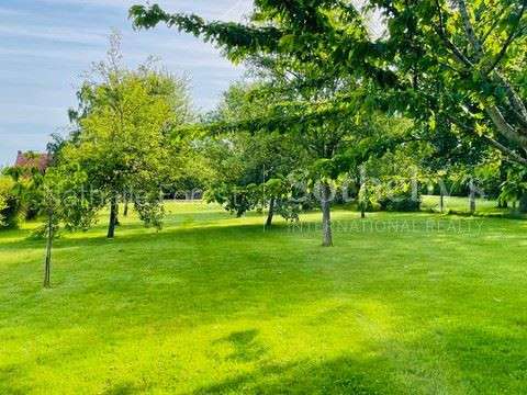 Maison Mons-en-Pévèle - 5 chambres - 206m²