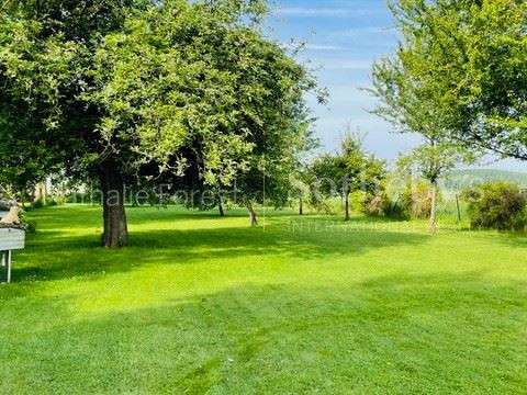 Maison Mons-en-Pévèle - 5 chambres - 206m²