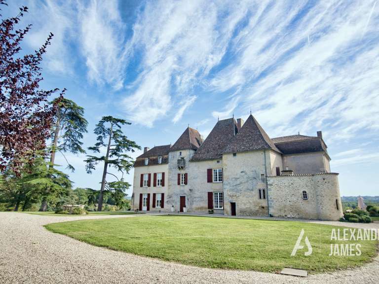 Château Monségur - 7 chambres - 550m²