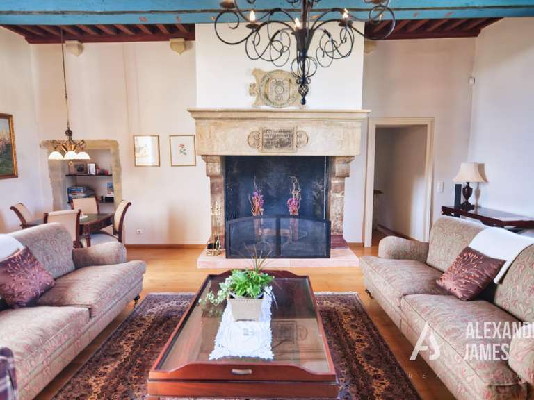 Château Monségur - 7 chambres - 550m²