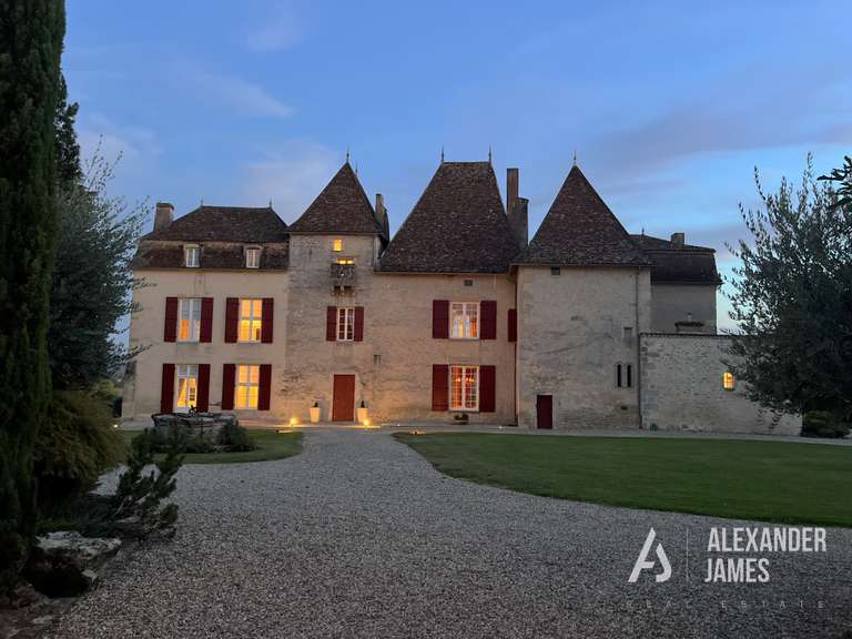 Château Monségur - 7 chambres - 550m²