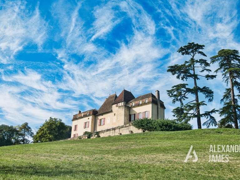 Château Monségur - 7 chambres - 550m²