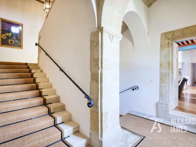 Château Monségur - 7 chambres - 550m²