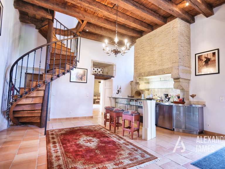Château Monségur - 7 chambres - 550m²