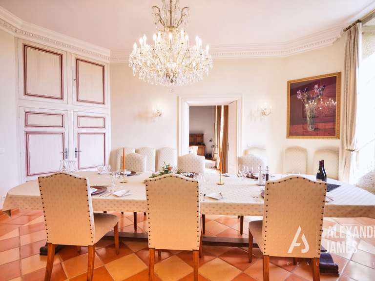 Château Monségur - 7 chambres - 550m²