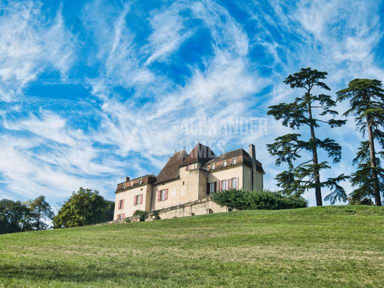 Château Monségur - 7 chambres - 550m²