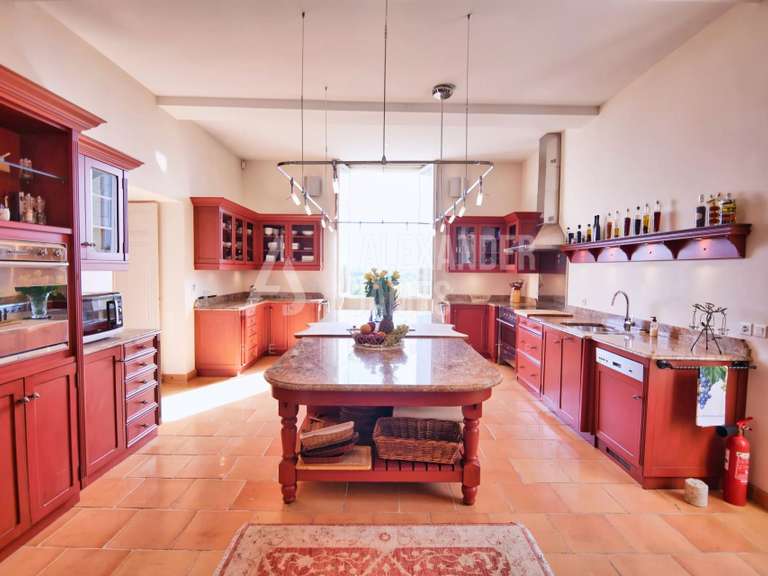 Château Monségur - 7 chambres - 550m²