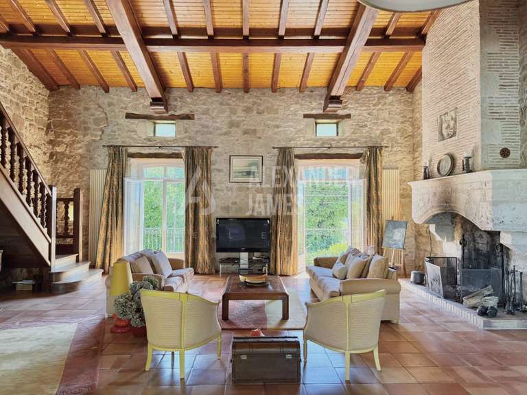 Château Monségur - 6 chambres - 334m²
