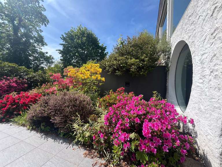 House Mont-Saint-Aignan - 4 bedrooms - 220m²