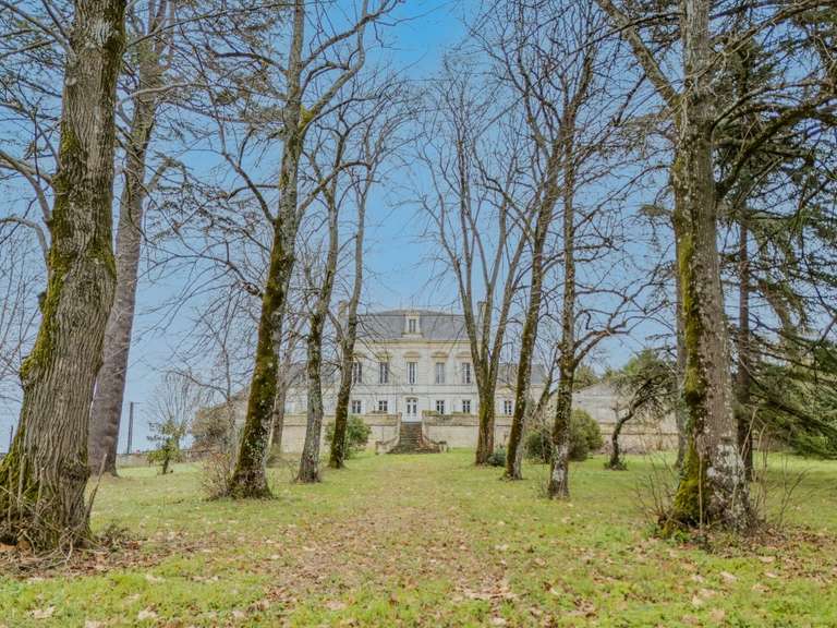 Castle Montagne - 2500m²