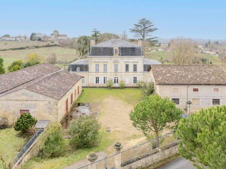 Castle Montagne - 2500m²