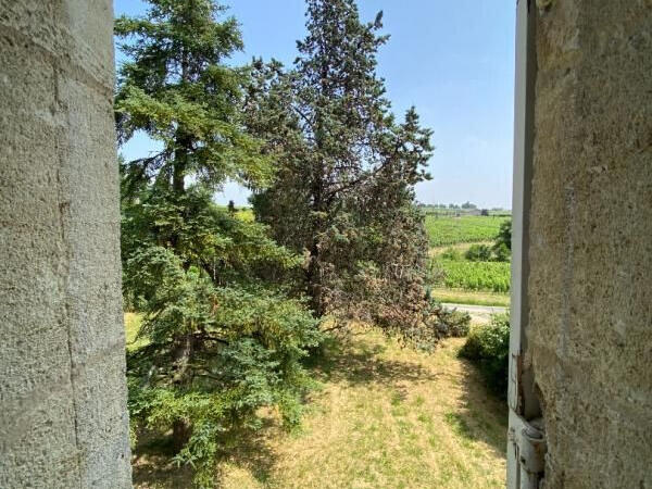 House Montagne - 4 bedrooms