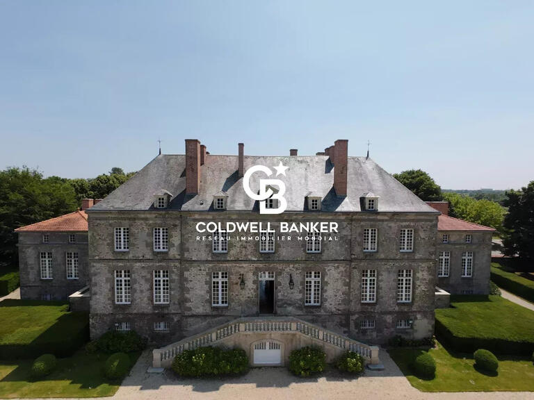 Château Montaigu - 7 chambres - 900m²