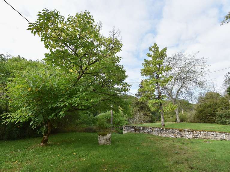 Maison Montaigu-de-Quercy - 6 chambres - 330m²