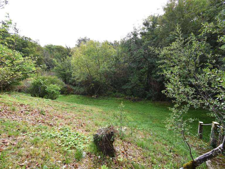 Maison Montaigu-de-Quercy - 6 chambres - 330m²