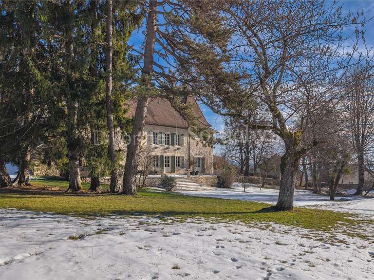 Château Montanges - 10 chambres - 760m²