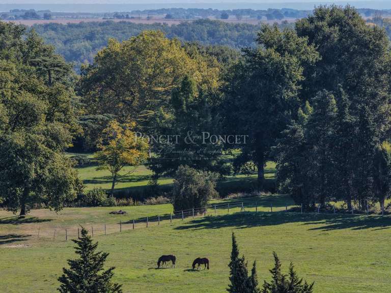 Château Montauban - 10 chambres - 550m²