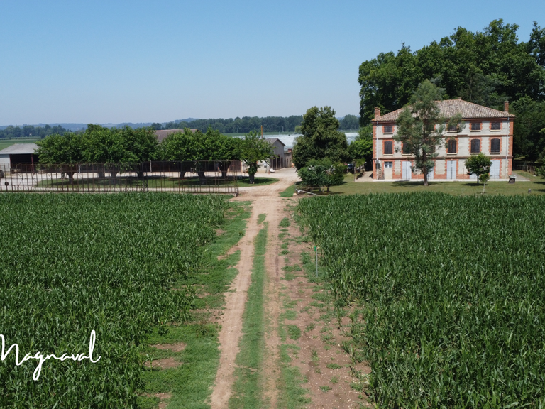 Maison Montauban - 9 chambres - 214m²