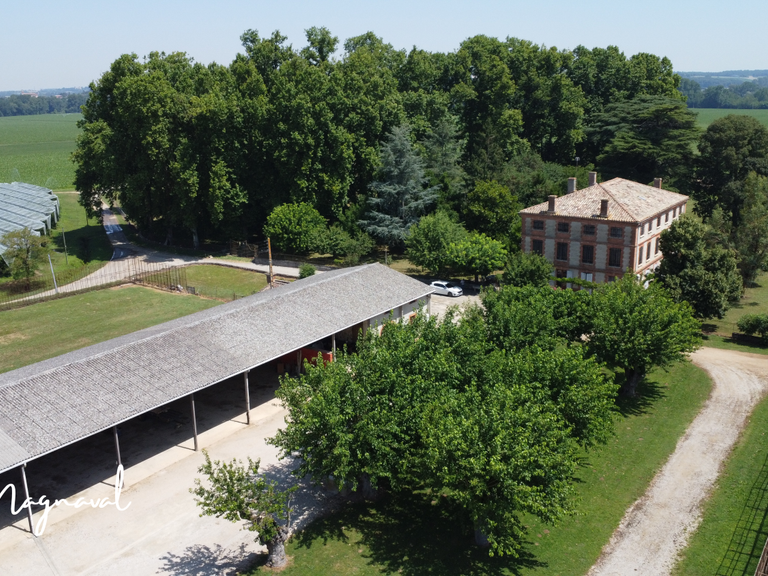 Maison Montauban - 9 chambres - 214m²