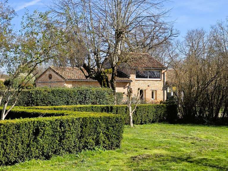 Maison Montauban - 5 chambres - 249m²
