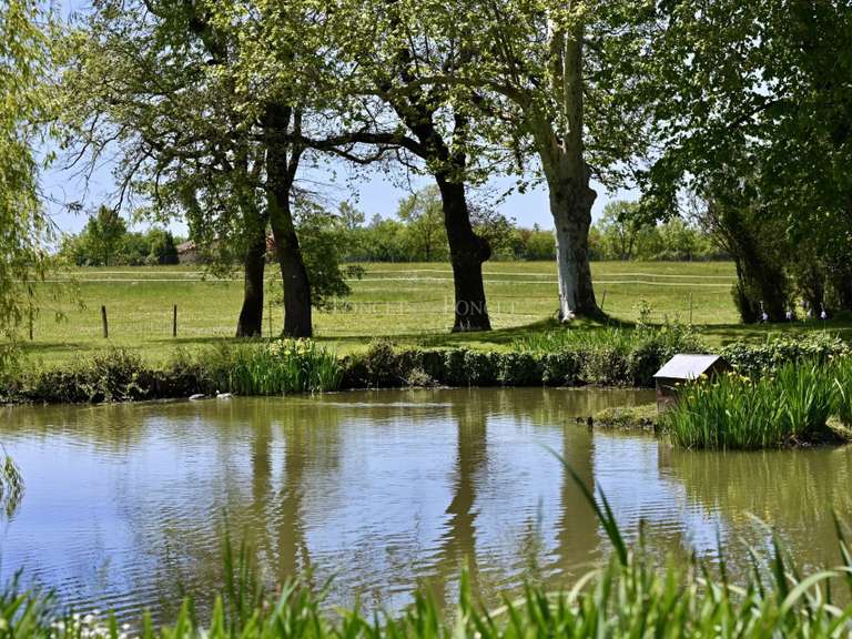 Propriété Montauban - 10 chambres - 550m²