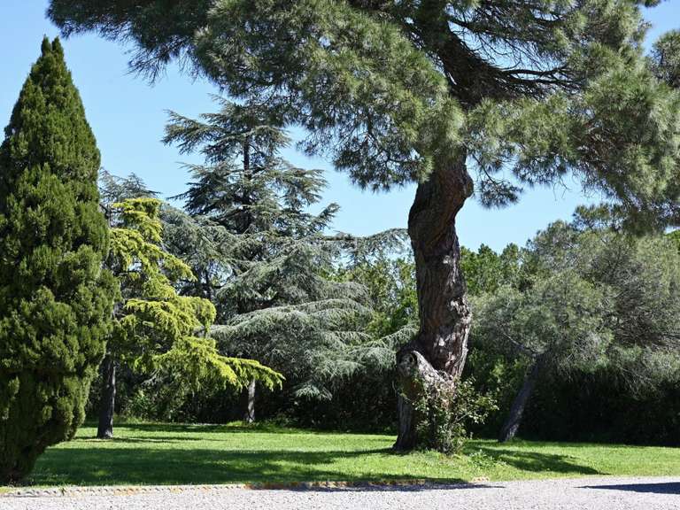 Propriété Montauban - 10 chambres - 550m²