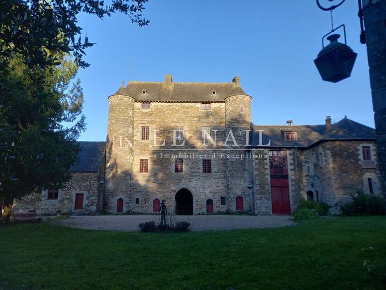 Château Montauban-de-Bretagne - 5 chambres - 300m²