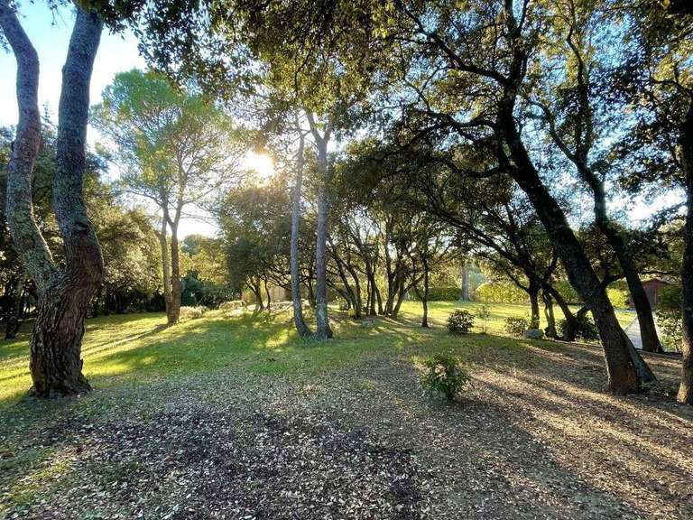 Terrain Montaud