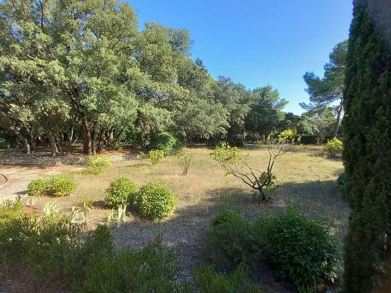 Terrain Montaud