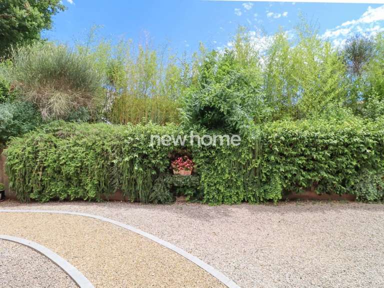 Maison Montauroux - 4 chambres - 222m²