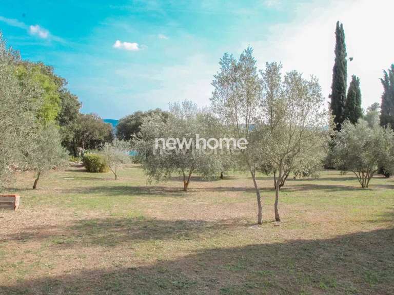 Maison Montauroux - 4 chambres - 280m²