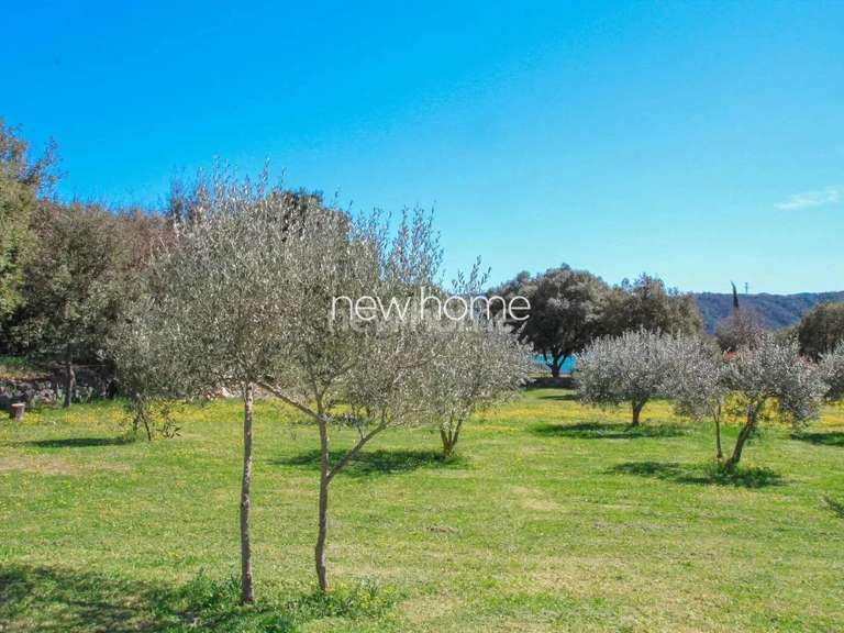 Maison Montauroux - 4 chambres - 280m²