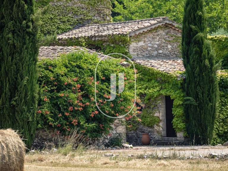 House Montbrun-les-Bains - 4 bedrooms - 315m²